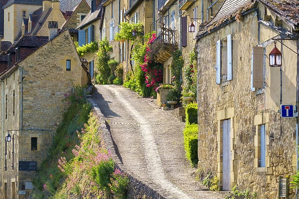 Steep street lined with old houses, Beynac-et-Cazenac, Dordogne Department, Aquitaine
