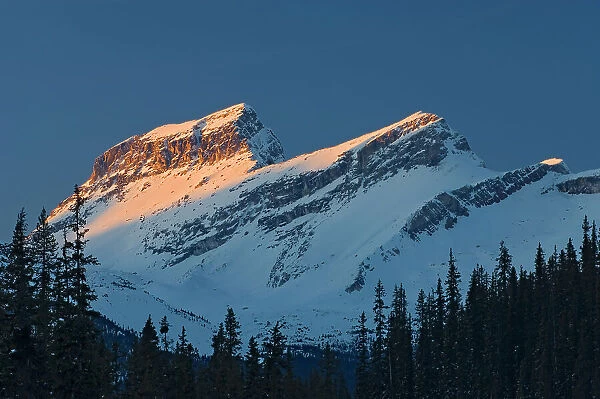Sunrise on peak of the Canadian Rocky Mountains. Icefields Parkway, Banff National Park, Alberta, Canada