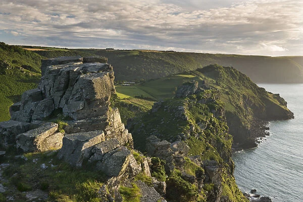 Towering cliffs at Valley of Rocks, Exmoor, Devon, England. Summer (July)
