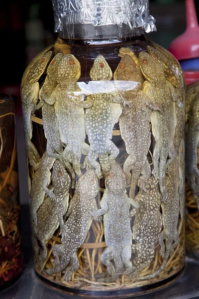 Vietnam, Hue, Preserved Frogs in Traditional Medicine Shop