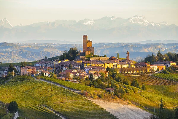 The vineyards of Serralunga d Alba and Alps in background during autumn sunrise