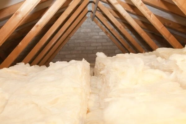 Insulation in a house loft or roof space. Insulating your loft can save a significant amount of household heat loss and therefore help save energy and help combat climate