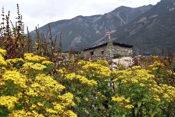 Traditional Building and flowers. Mountains. Himalayas, Tibet