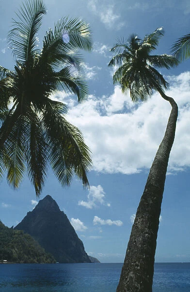 10041080. ST LUCIA Soufriere The Pitons with palm trees in the foreground