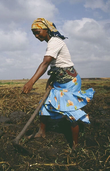 20034984. MOZAMBIQUE Gaza Province Xai Xai Young woman hoeing land by hand
