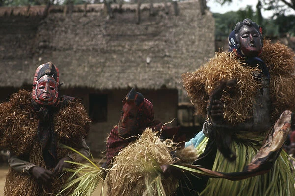 20043512. CAMEROON Rumpi Hills Boys masquerade in Ekpe regalia wooden masks and Rafia