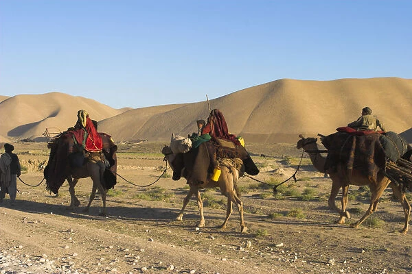 20085059. AFGHANISTAN Desert Kuchie camel train between Maimana and Mazar-I-Sharif