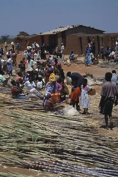 20086551. MALAWI Jenda Sugar cane vendors and customers at roadside market