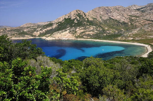 FRANCE, Corsica, Calvi, Turquoise waters & rugged coastline near Calvi