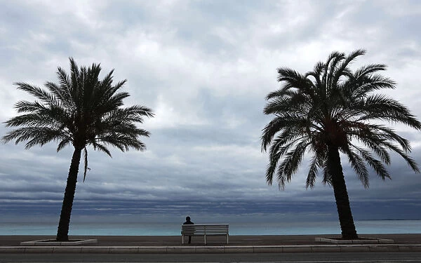 Palm trees frame a man who sits on a bench on a winters day along the Promenade Des
