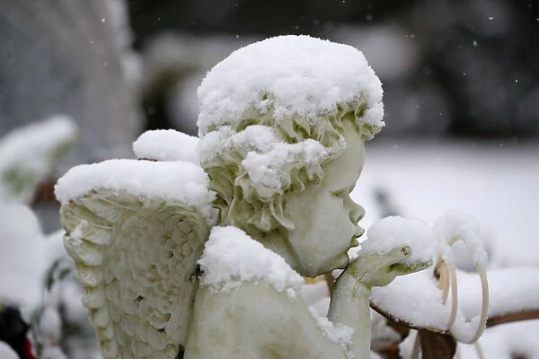 A snow covered angel statue is pictured at the main cemetery in Hanau
