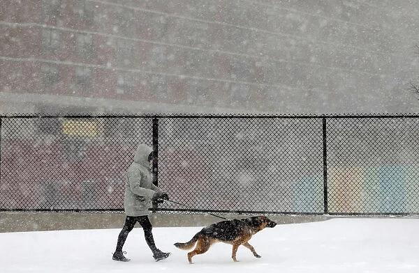A woman walks a dog in upper Manhattan during a snowstorm in New York City