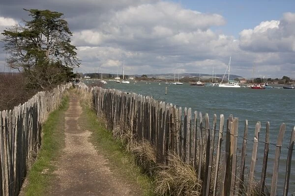 Coastal path from Itchenor to West Wittering, Manhood Peninsula, West Sussex, England, March