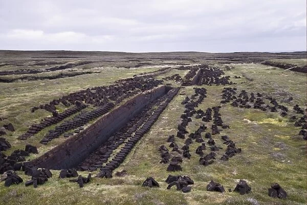Peat cuttings, seam cut through peat, Mainland, Shetland Islands, Scotland, june