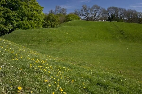 Remains of 2nd century AD Roman amphitheatre, now grassland habitat, Cirencester Amphitheatre, Gloucestershire