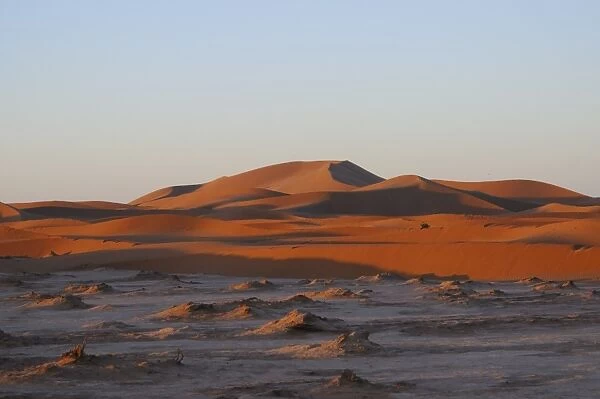 View of sand dunes at edge of desert, Sahara, Morocco, january
