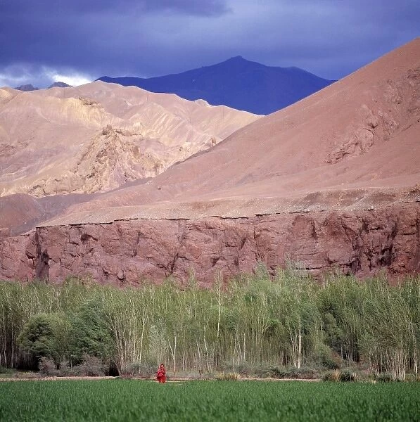 Afghanistan, Bamian Valley. A young girl waits in a field below pink cliffs in the Bamian Valley