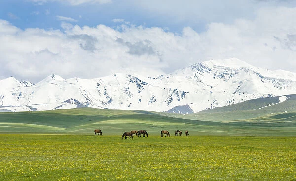 The Alaj valley with the Transalai mountains in the background. The Pamir Mountains
