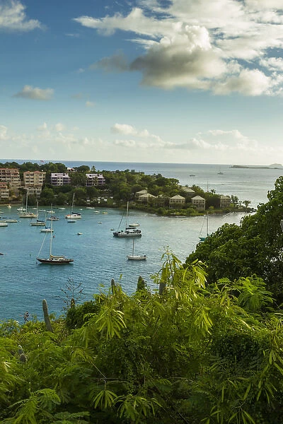 Caribbean, USA Virgin Islands, St. John. Scenic of Cruz Bay