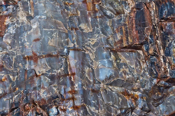 Close-up of petrified wood, Petrified Forest National Park, Holbrook, Arizona, USA