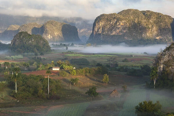 Cuba, Vinales. Morning fog blankets the Vinales valley, a farming region rich in tobacco