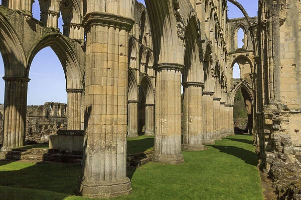 England, North Yorkshire, Rievaulx. 13th c. Cistercian ruins of Rievaulx Abbey. English Heritage
