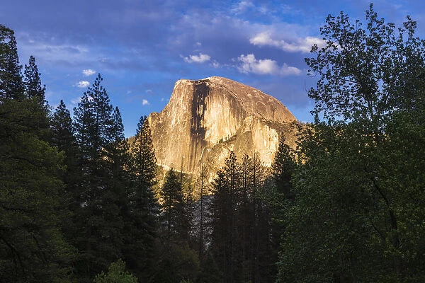 Evening light on Half Dome, Yosemite National Park, California, USA