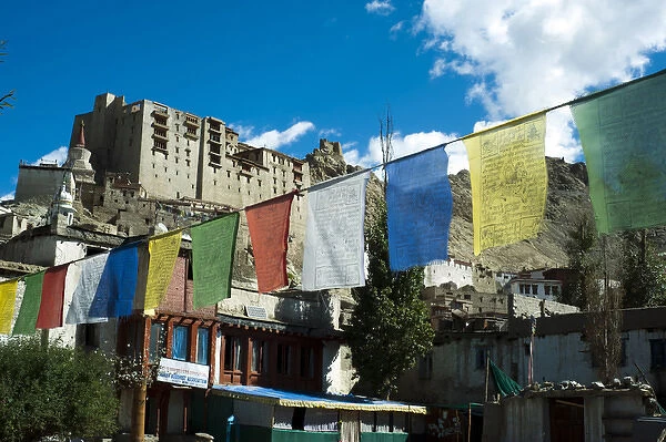 India, Ladakh, Leh, prayer flags with Leh palace in background