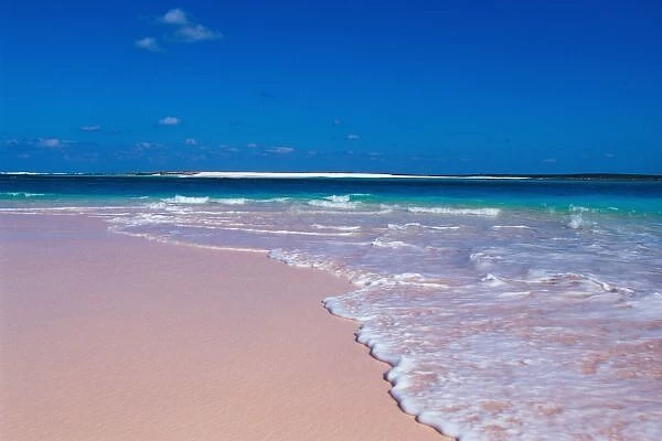 Pink sand beach at Conch Bay, Cat Island, Bahamas
