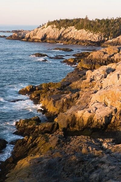 The rocky coast of Isle au Haut in Maines Acadia National Park. Cliff Trail