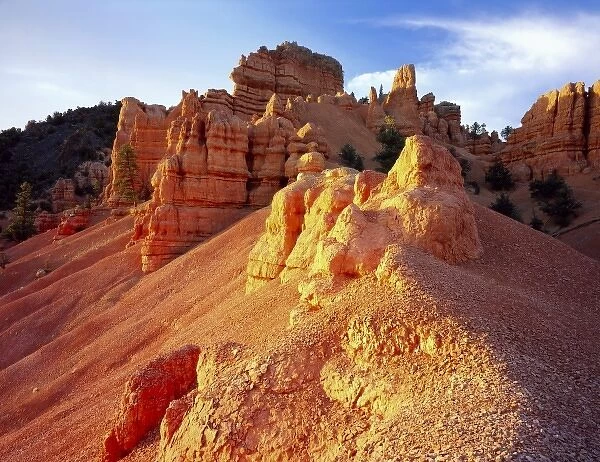 Utah. USA. Eroded limestone pinnacles & slopes at sunset. Red Canyon. Dixie National Forest