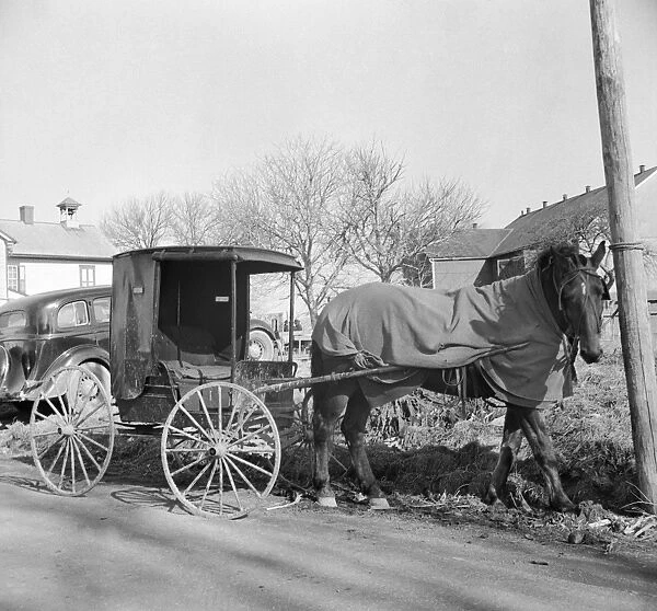 AMISH: CARRIAGE, 1942. An Amish horse-drawn carriage in Lancaster, Pennslyvania