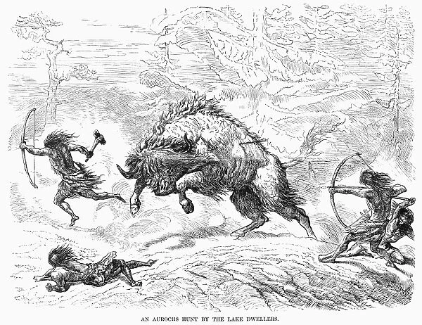 AUROCHS HUNT. A prehistoric hunt of an Aurochs. Line engraving, 19th century