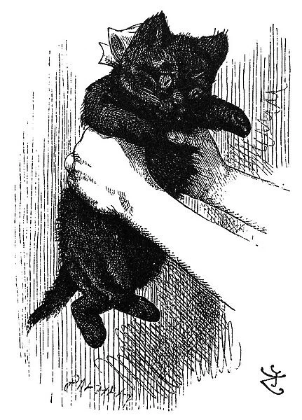 CARROLL: LOOKING GLASS. Alices kitten, Dinah. Wood engraving after Sir John Tenniel for the first edition of Lewis Carrolls Through the Looking Glass, 1872