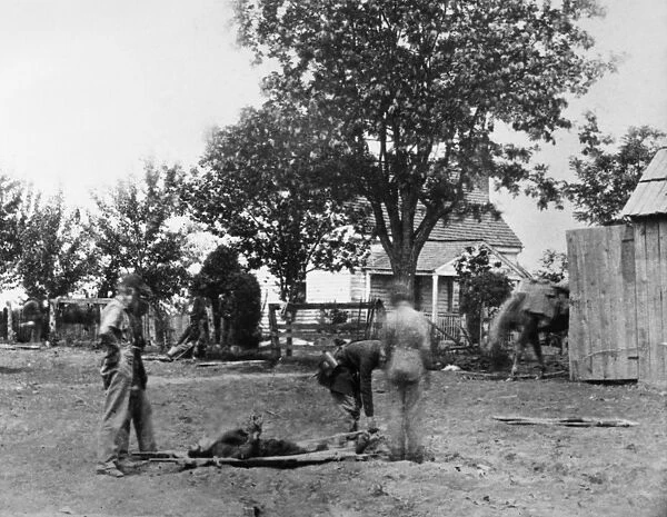 CIVIL WAR: SPOTSYLVANIA. Soldiers carrying the wounded on stretchers near the Spotsylvania Court House in Virginia. Photograph, 1864