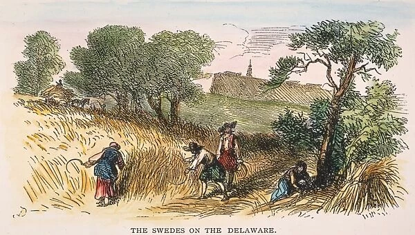 DELAWARE: SWEDISH COLONY. Swedish colonists in Delaware reaping with sickles: American engraving, 19th century