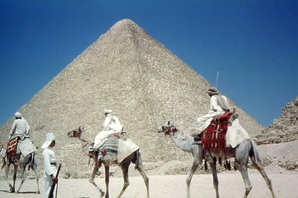EGYPT: CAMEL TRAIN. Camel train, against background of the pyramids, Giza