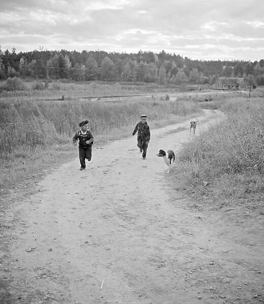 GEORGIA: CHILDREN, 1941. Boyd Jones, his friend, and their dogs returning