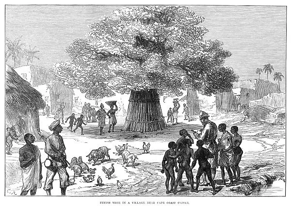 GHANA: CAPE COAST, 1874. Fetish Tree in a Village Near Cape Coast Castle, in Ghana