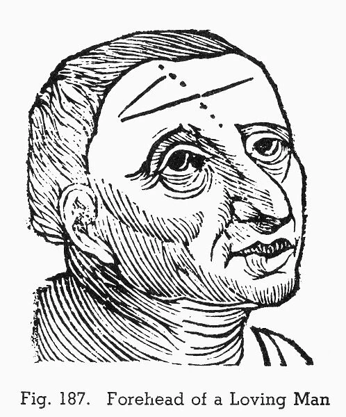 PHYSIOGNOMY, 1648. Forehead of a loving man