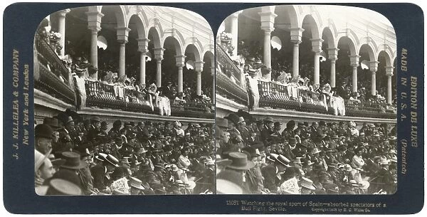 SPAIN: BULLFIGHT, c1908. Watching the royal sport of Spain - absorbed spectators of a Bull Fight
