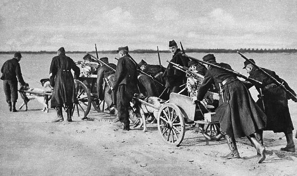 WORLD WAR I: DENDERMONDE. Belgian troops with dogs pulling machine-gun laden wagons