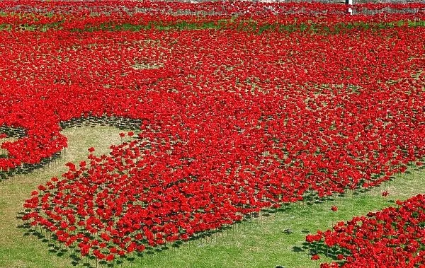 Ceramic poppies fill the moat of the Tower of London to commemorate WWI, London, England