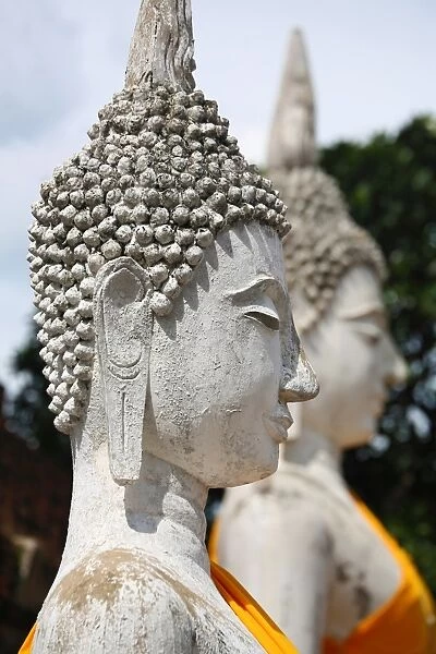 Row of Buddha statues at Wat Yai Chaimongkol Temple, Ayutthaya, Thailand