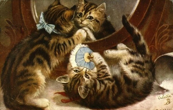 Two kittens playing with a mirror and powder puff