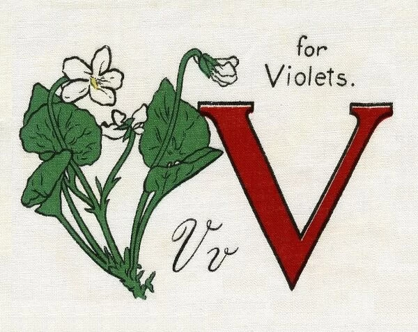 V for Violets