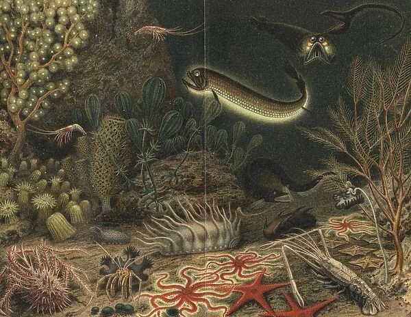 Artists impression of deep sea scene with luminous fishes. Some of the creatures