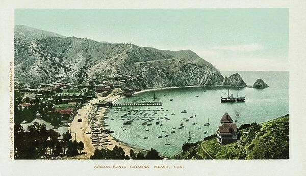 Avalon, Santa Catalina Island Postcard. 1903, Avalon, Santa Catalina Island Postcard