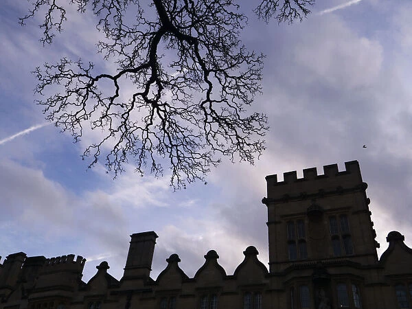 Bare tree and facade of University College, Oxford, on a winters day