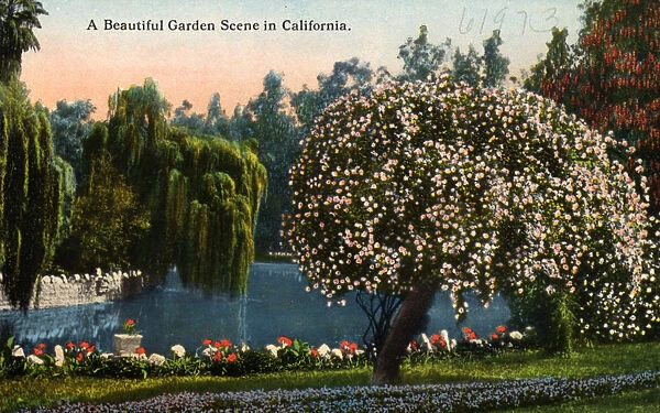 A Beautiful Garden Scene in California